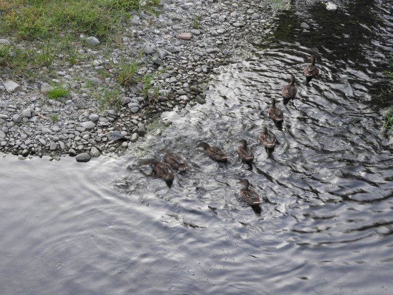 DSCN5975.JPG