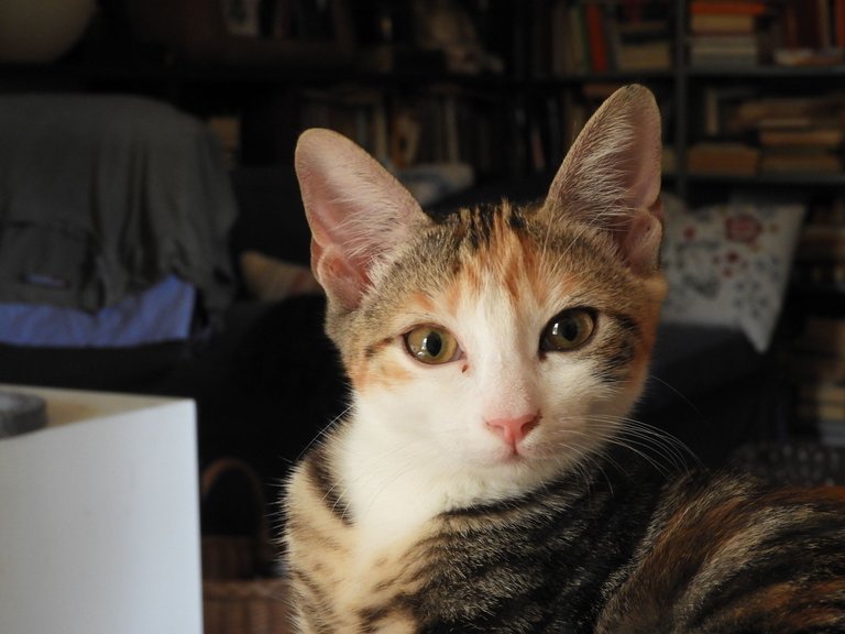 DSCN5873.JPG