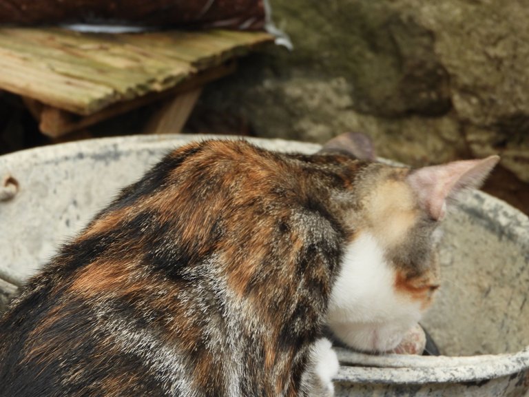 DSCN6148.JPG
