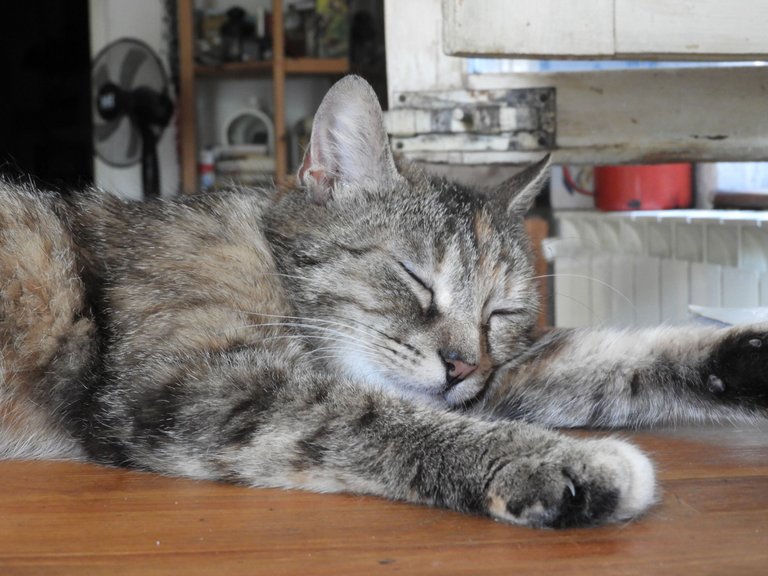 DSCN5106.JPG