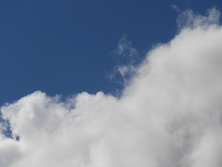 DSCN4115.JPG