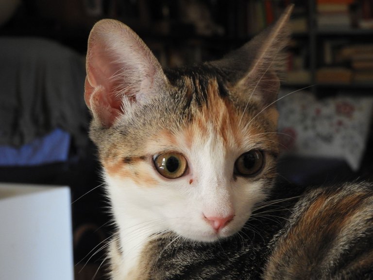 DSCN5867.JPG