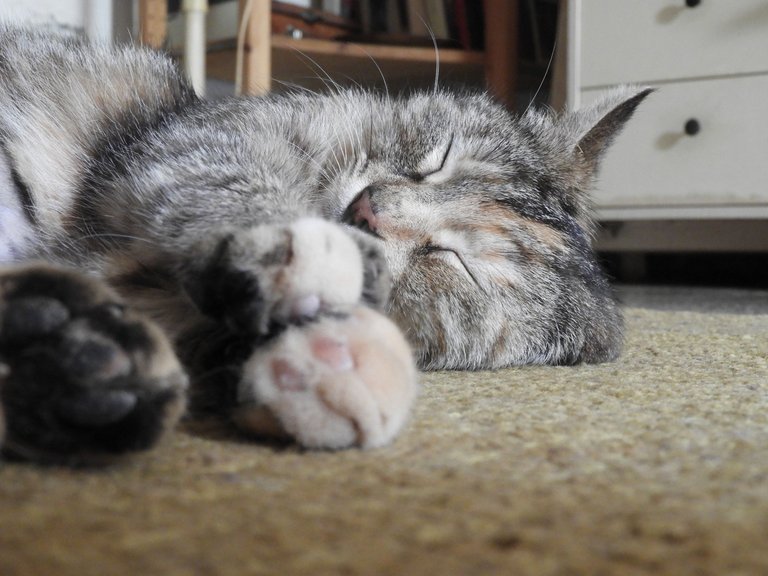 DSCN5038.JPG