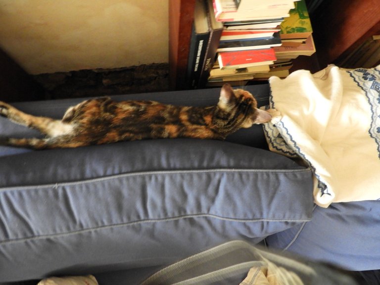 DSCN5878.JPG