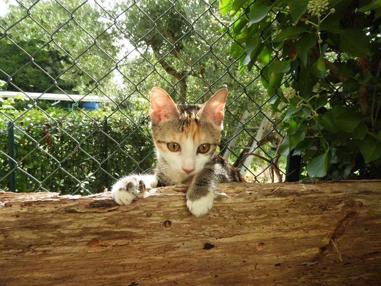 DSCN6273.JPG