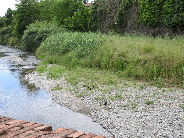 DSCN4583.JPG