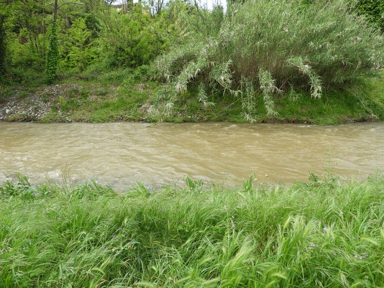 DSCN4116.JPG