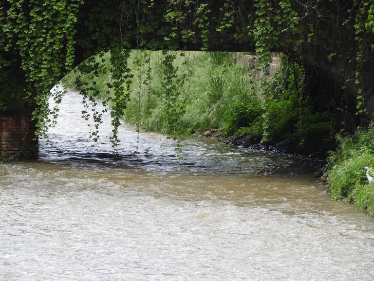 DSCN4112.JPG