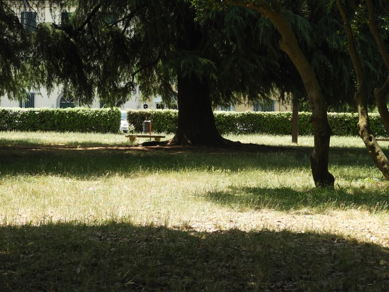 DSCN5148.JPG