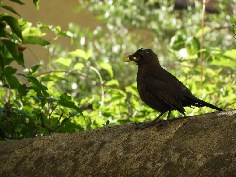 DSCN4673.JPG