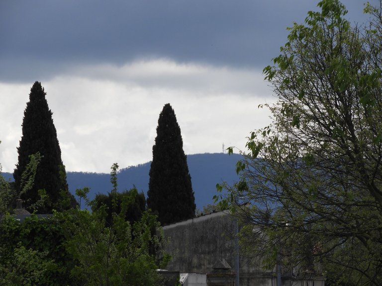 DSCN4113.JPG