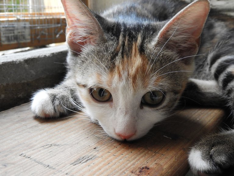 DSCN5575.JPG