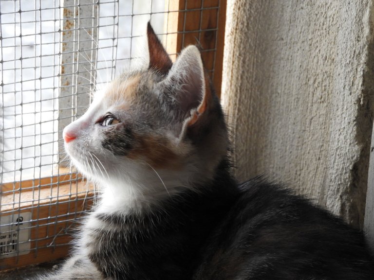 DSCN5246.JPG