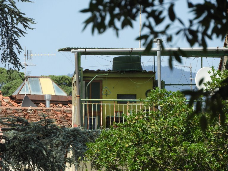 DSCN5151.JPG