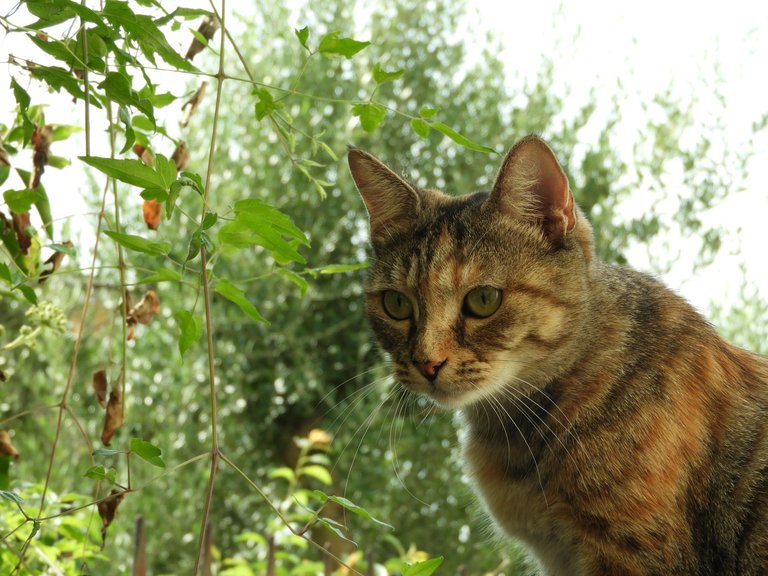 DSCN6274.JPG