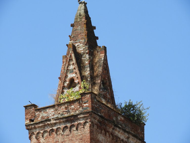 DSCN5420.JPG