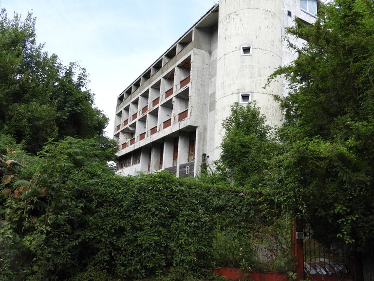 DSCN0519.JPG