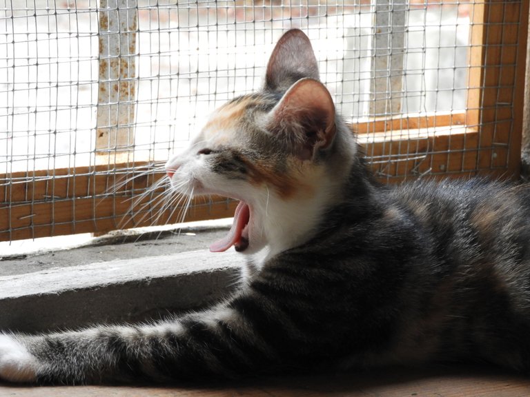 DSCN5592.JPG
