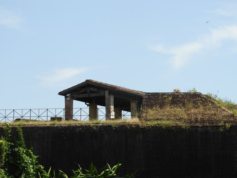 DSCN5162.JPG