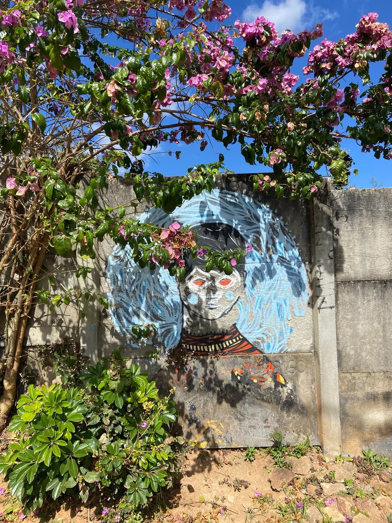 IMG_9709.JPEG