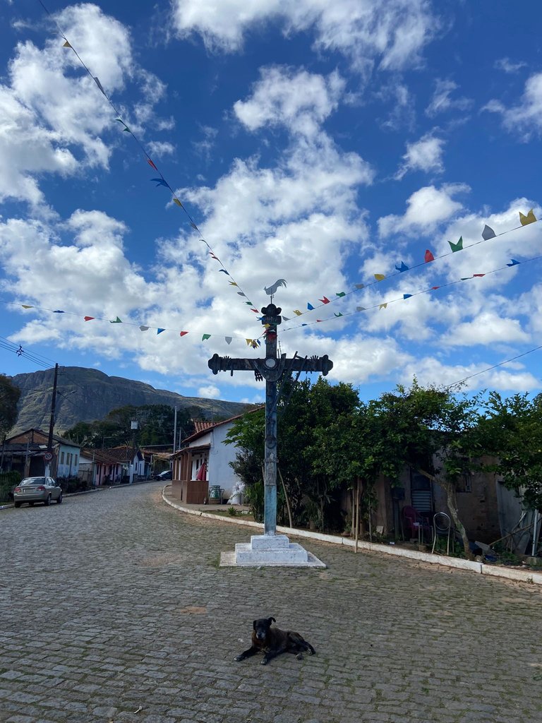 IMG_9726.JPEG
