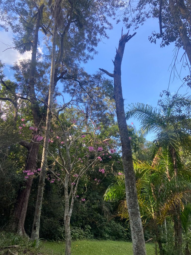 IMG_9172.JPEG