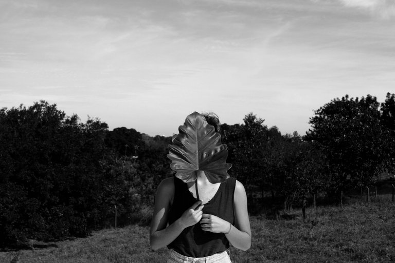IMG_1613 - Cópia.JPG