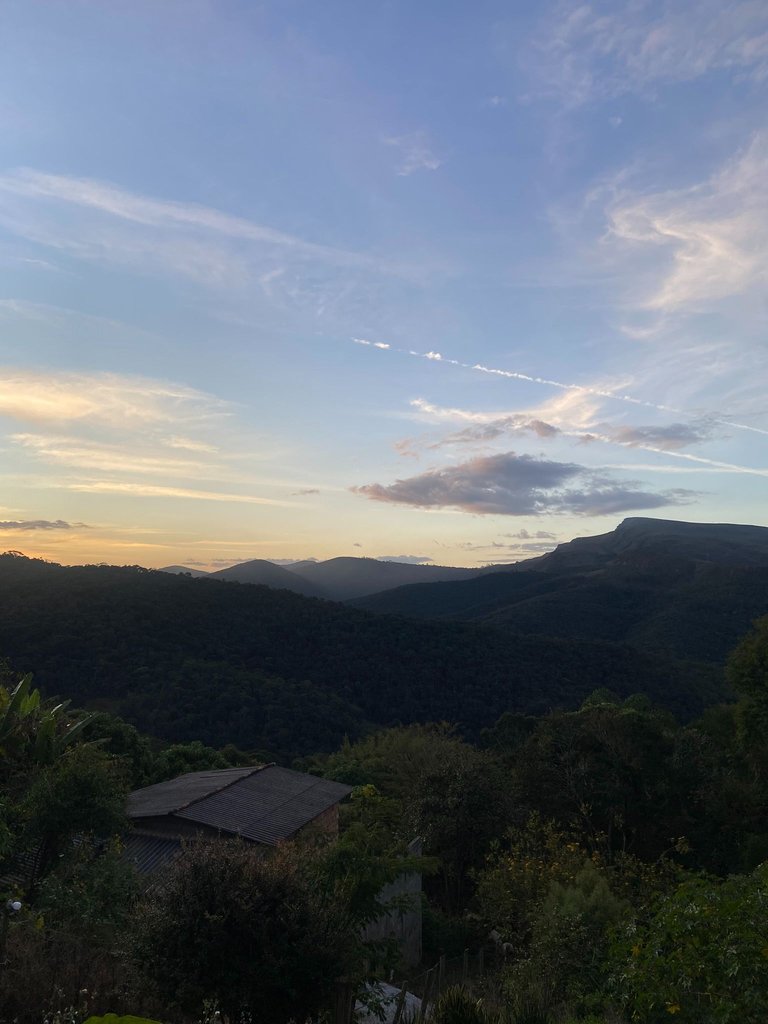 IMG_9928.JPEG