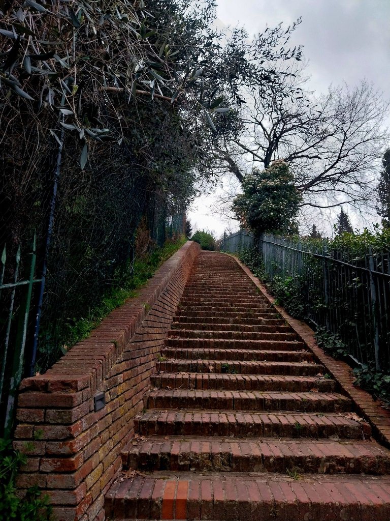 482055392_28684932861122293_6931702358823303851_n.jpg