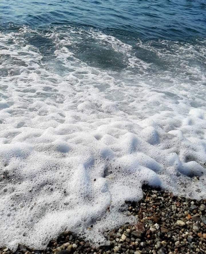 received_286889666576582.jpeg