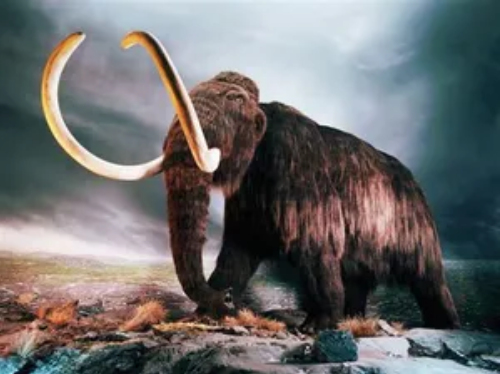 mammoth wooly.png