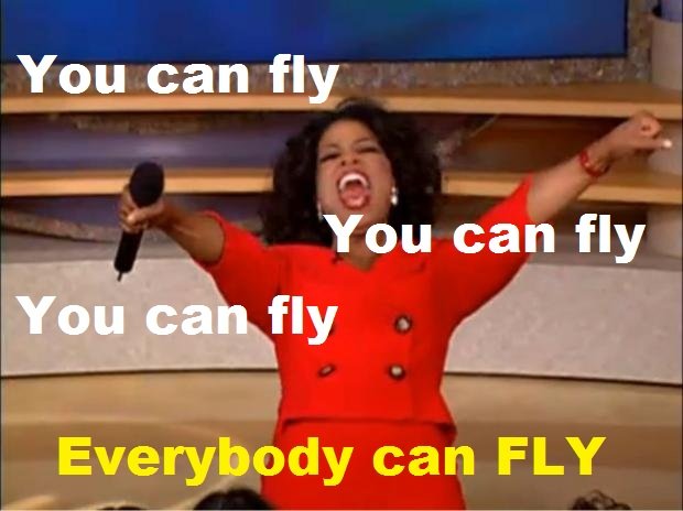 Everyone can Fly.jpg