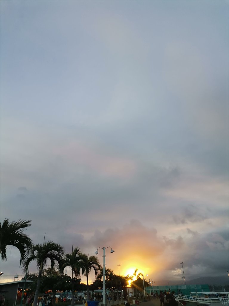 IMG_20240217_180243.jpg