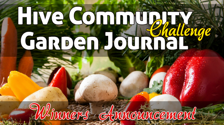 Garden journal challenge winners.png
