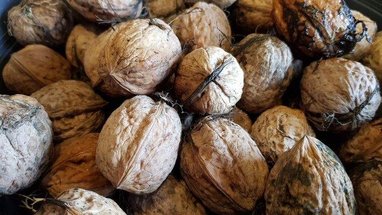 walnuts.jpg