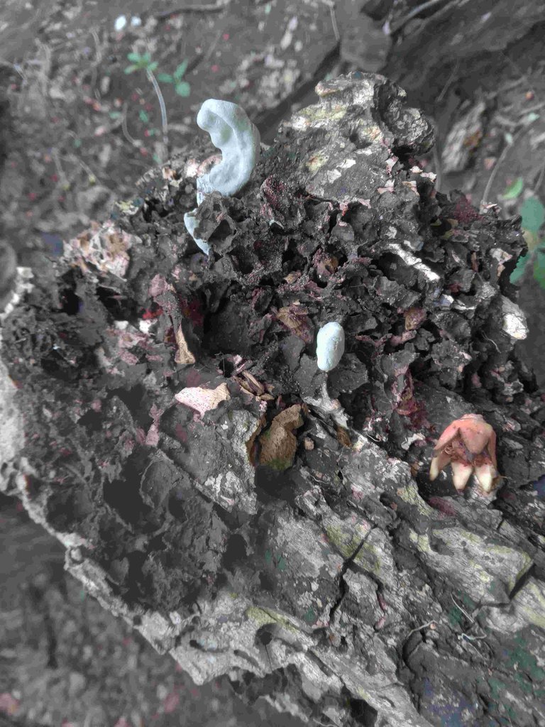 20250602_145121.jpg