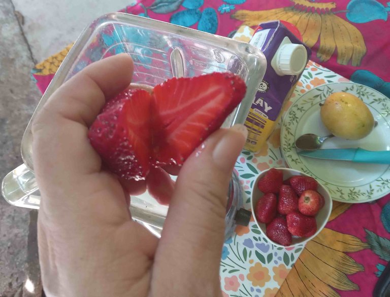 20250726_144418.jpg