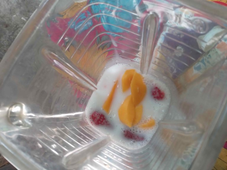 20250726_144649.jpg