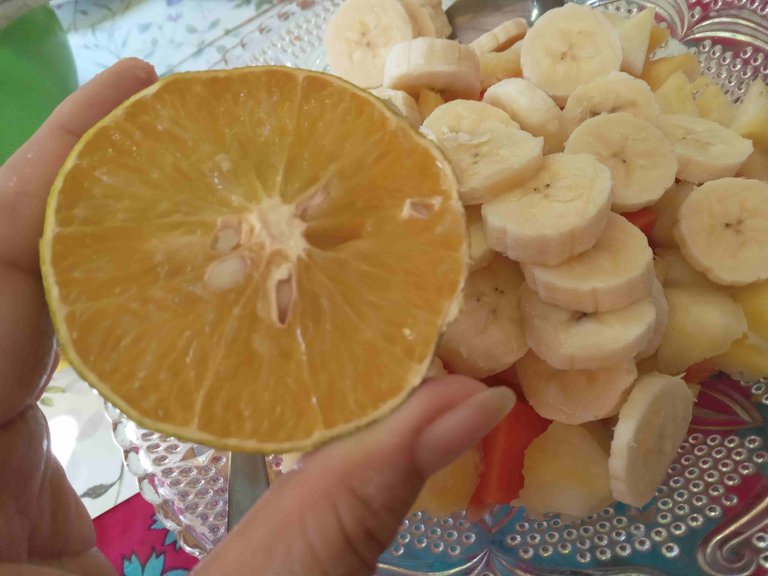20250728_145221.jpg