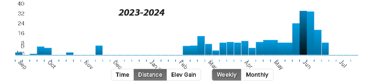 Screenshot 2024-07-17 at 14-28-50 Iris Rodríguez Strava Runner Profile.png