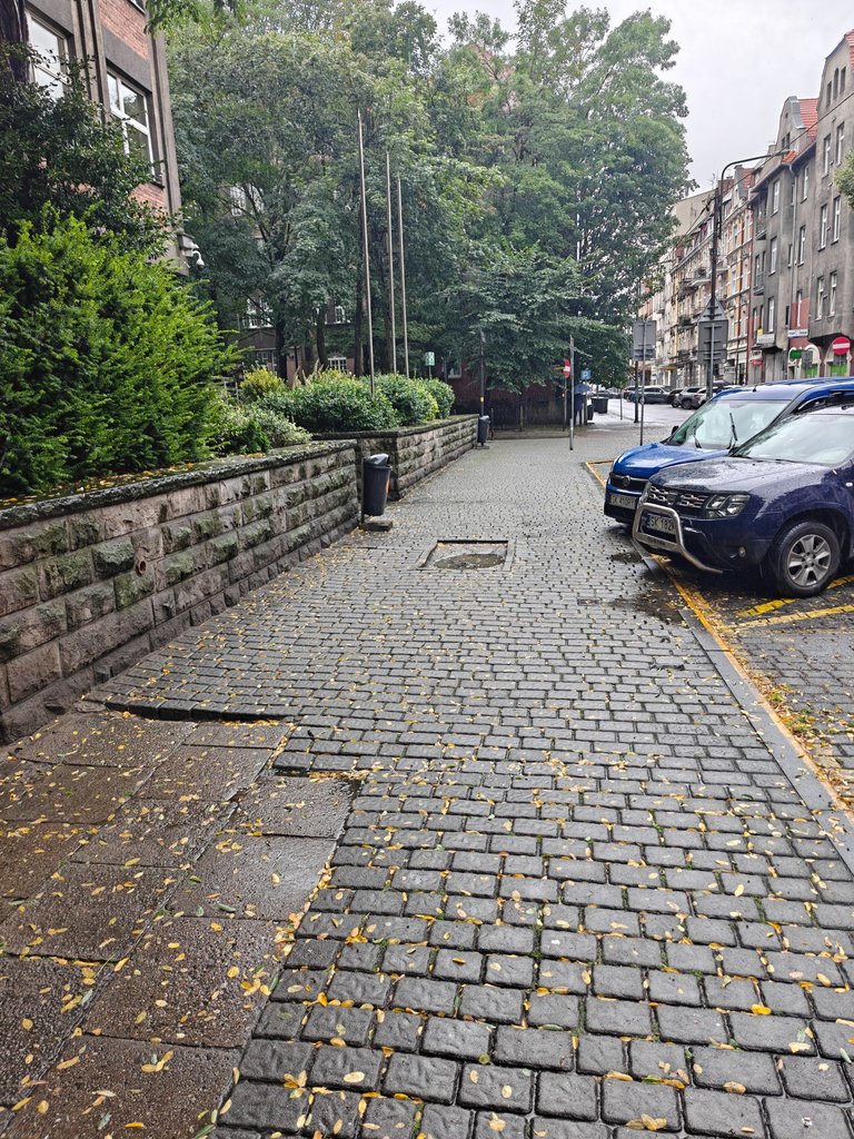 1000007824.jpg