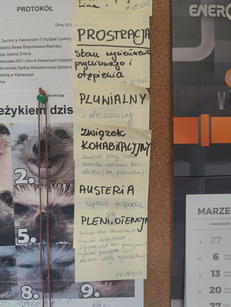 IMG20230519102924.jpg