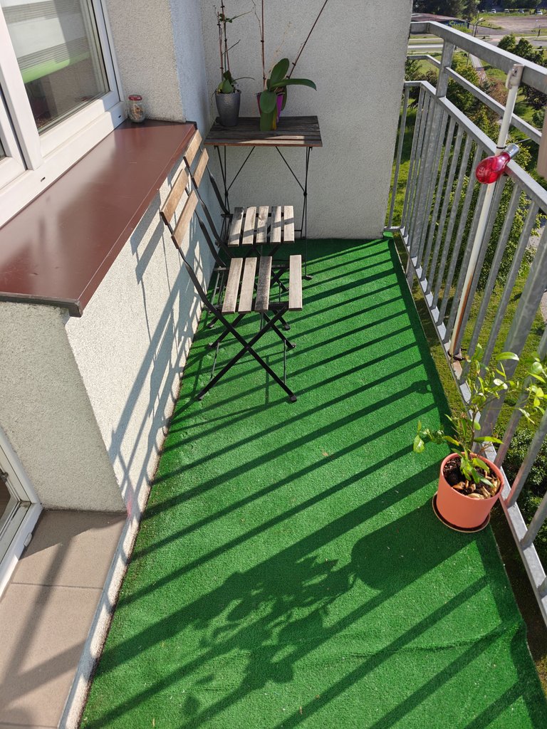 1000006154.jpg