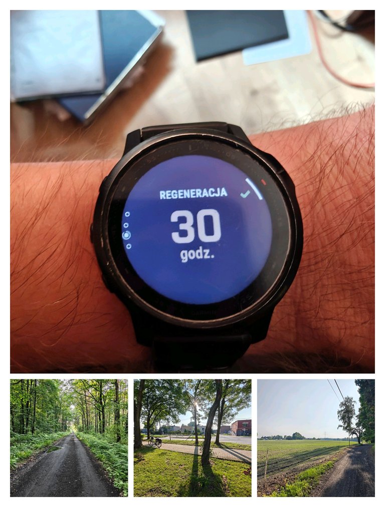 My Actifit Report Card: June 3 2025