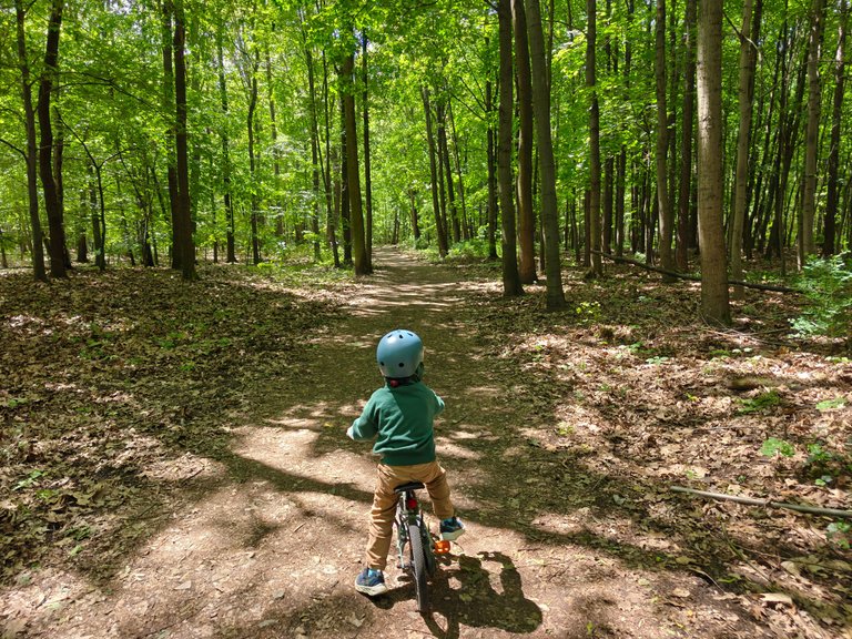 My Actifit Report Card: May 25 2025