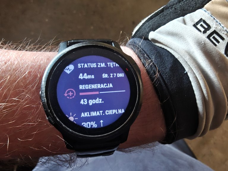My Actifit Report Card: June 26 2025