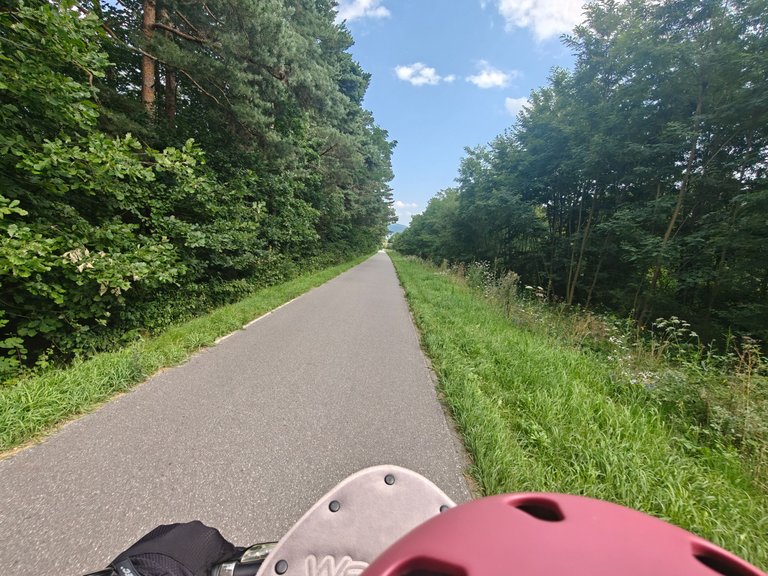 My Actifit Report Card: August 10 2025