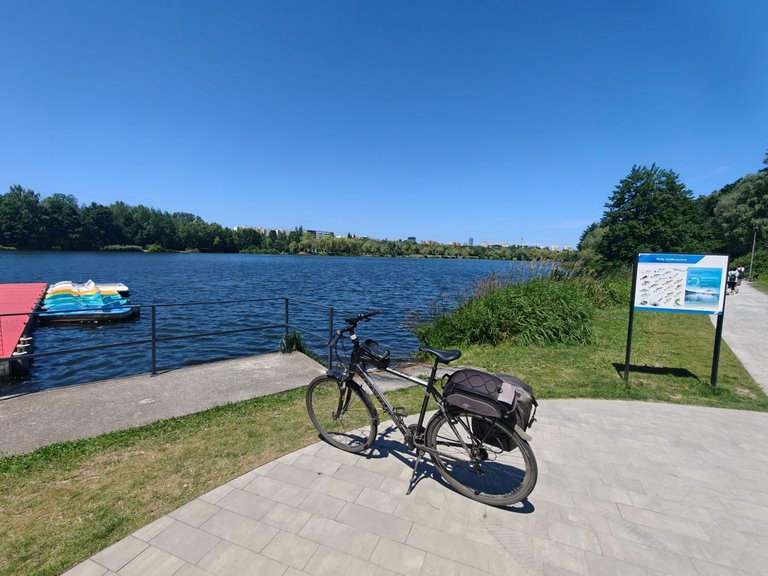 My Actifit Report Card: June 30 2025