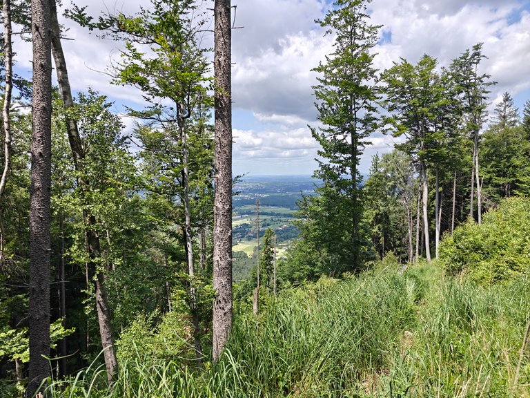 My Actifit Report Card: June 20 2025