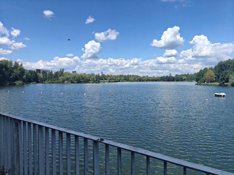 My Actifit Report Card: July 30 2025